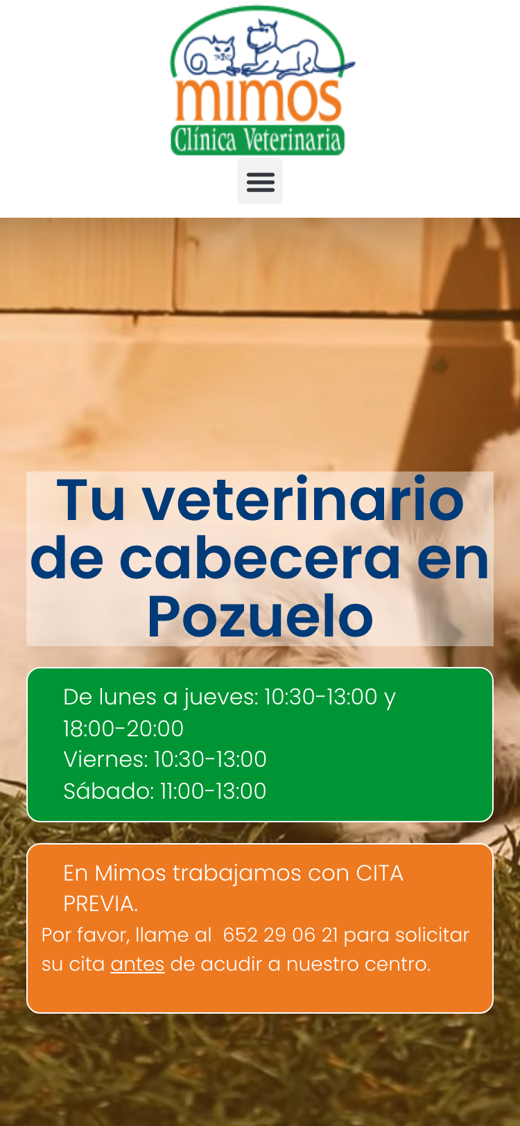 Captura de la web actual de Clínica Veterinaria Mimos en un móvil